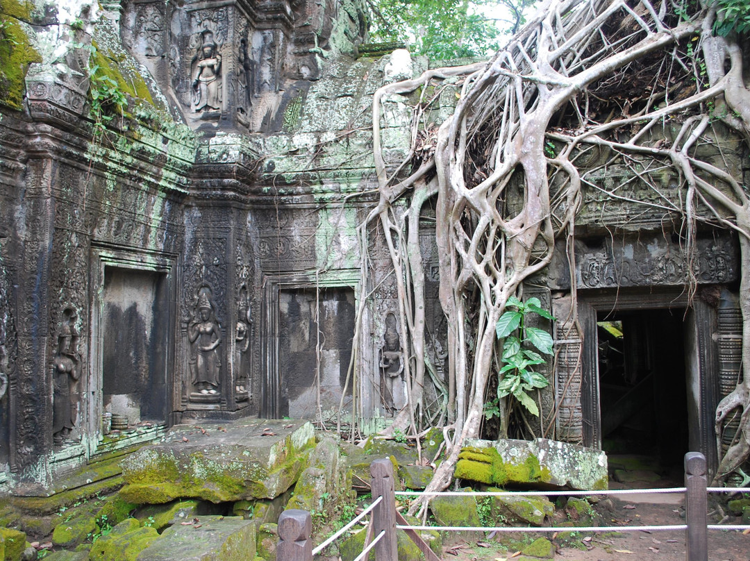 David Angkor Guide - Private Tours-暹粒必去景点