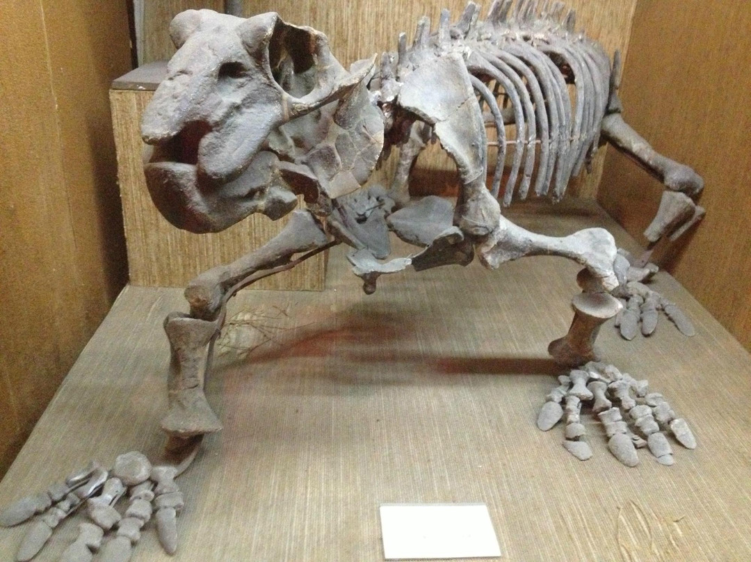 上海自然博物馆(静安新馆)-上海市必去景点