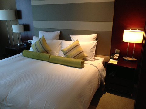 上海南桥绿地铂骊酒店主图