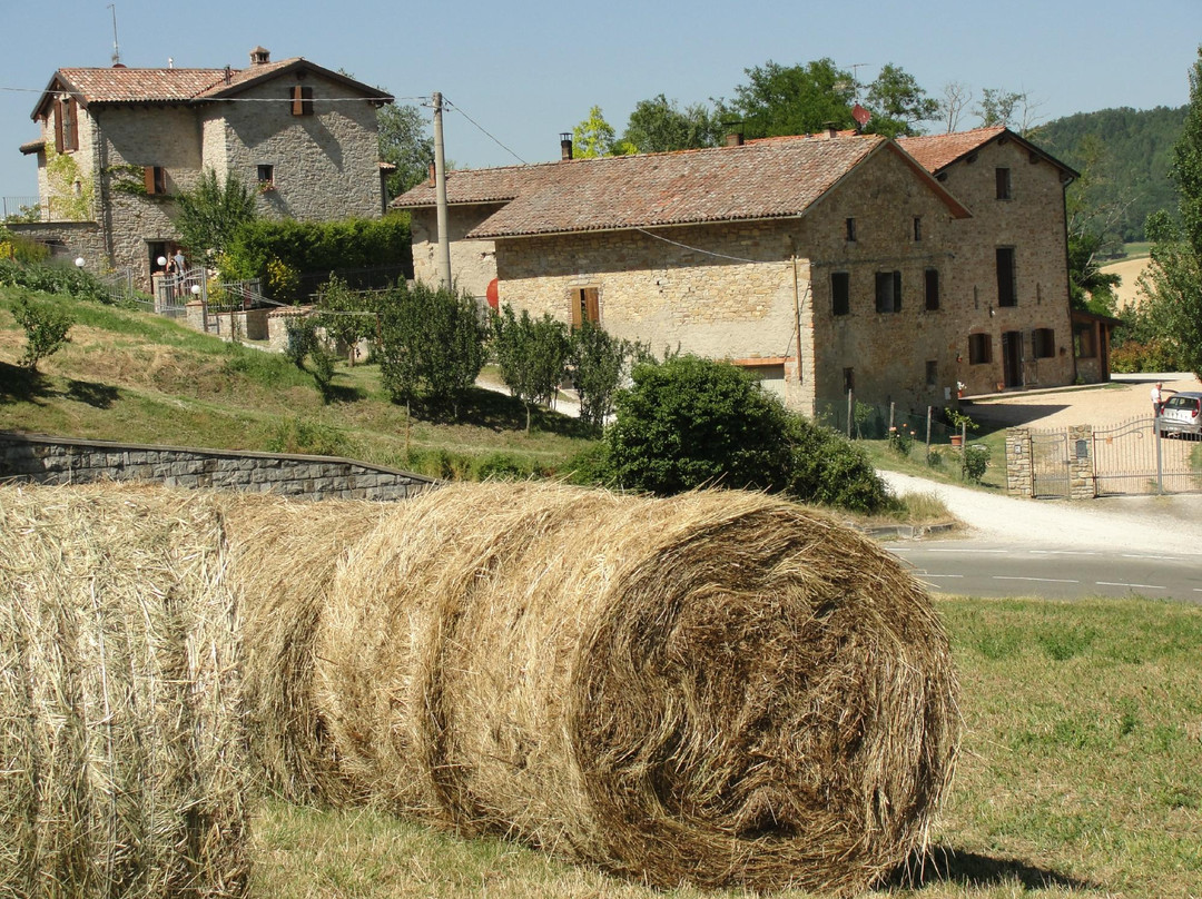 Tosca旅游攻略图片