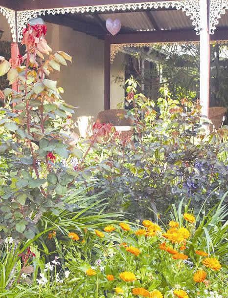 The Noble Grape Guest House主图