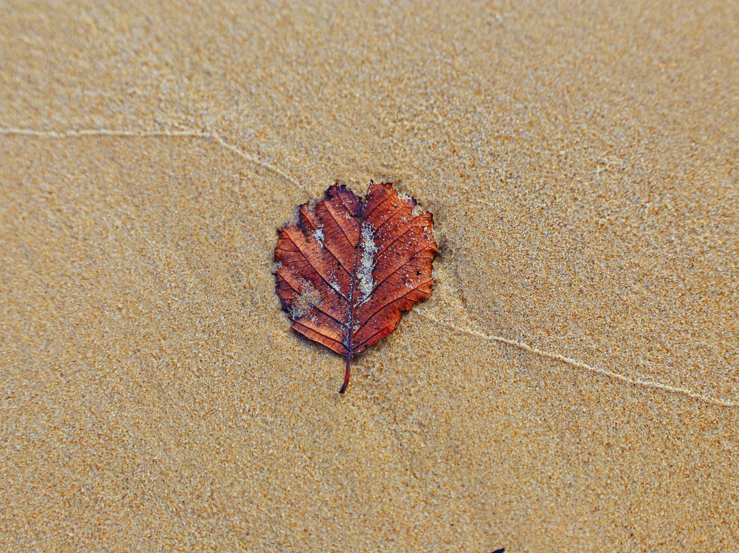 Sandbanks Beach-普尔必去景点