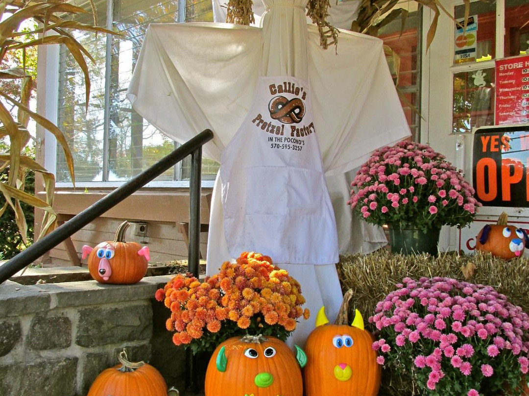 Callie's Candy Kitchen景点图片
