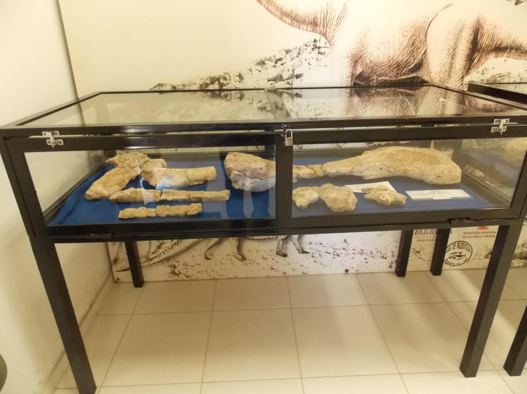 Paleontologia de Marilia Museum景点图片