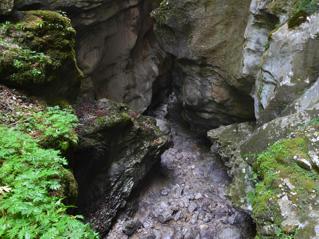 Le Grotte di Pradis景点图片
