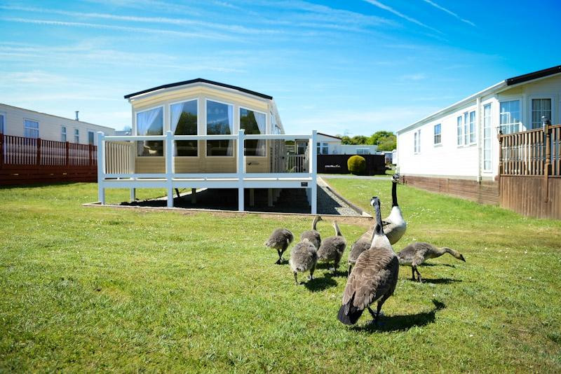 Greenfields Holiday Park