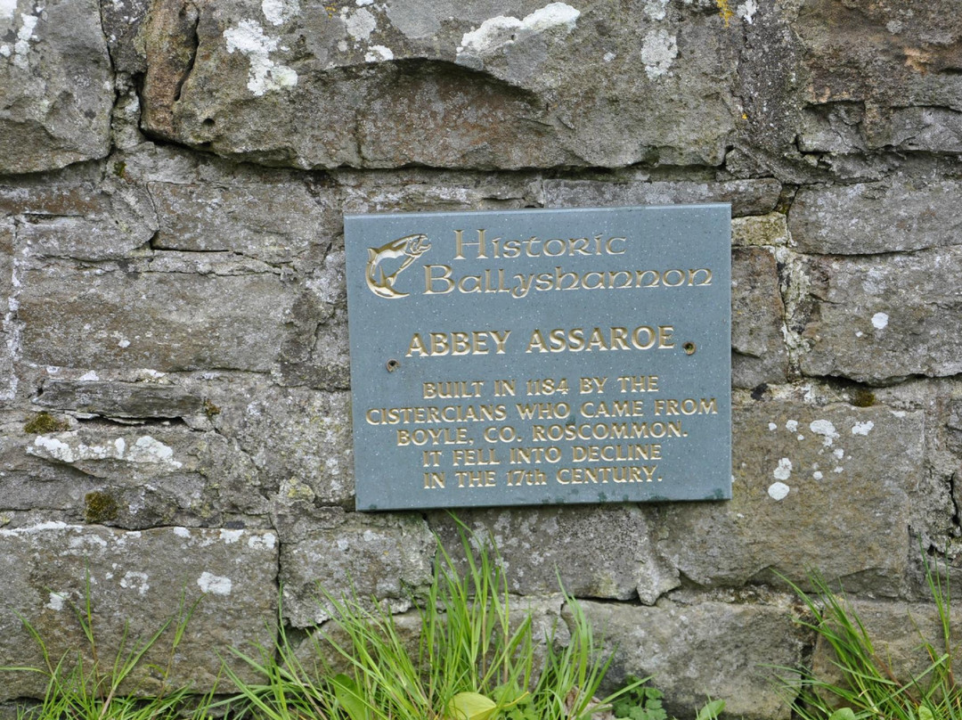 Assaroe Abbey-Ballyshannon必去景点