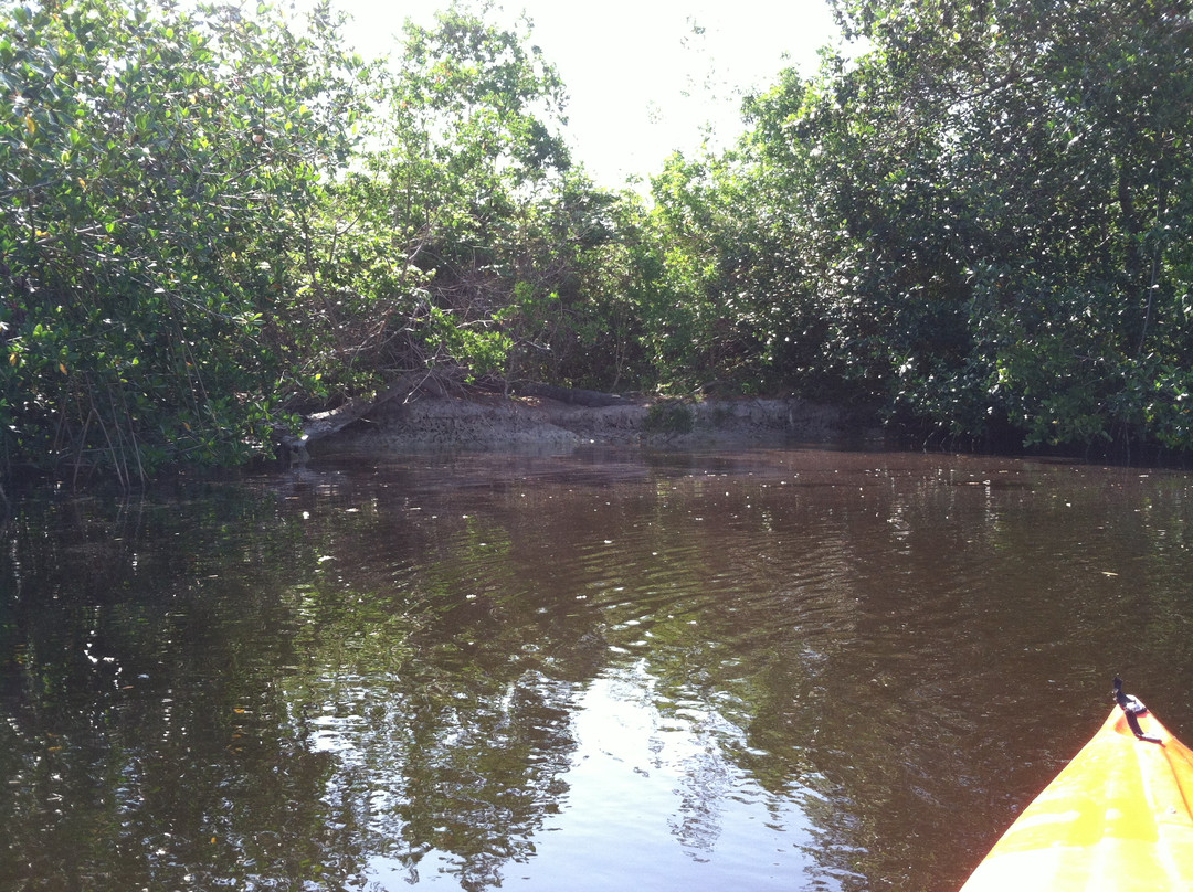 Buttonwood Canal-大沼泽国家公园必去景点