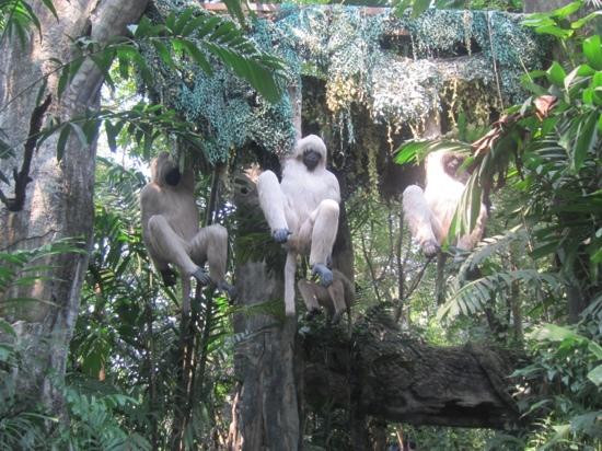 野生动物世界-曼谷必去景点