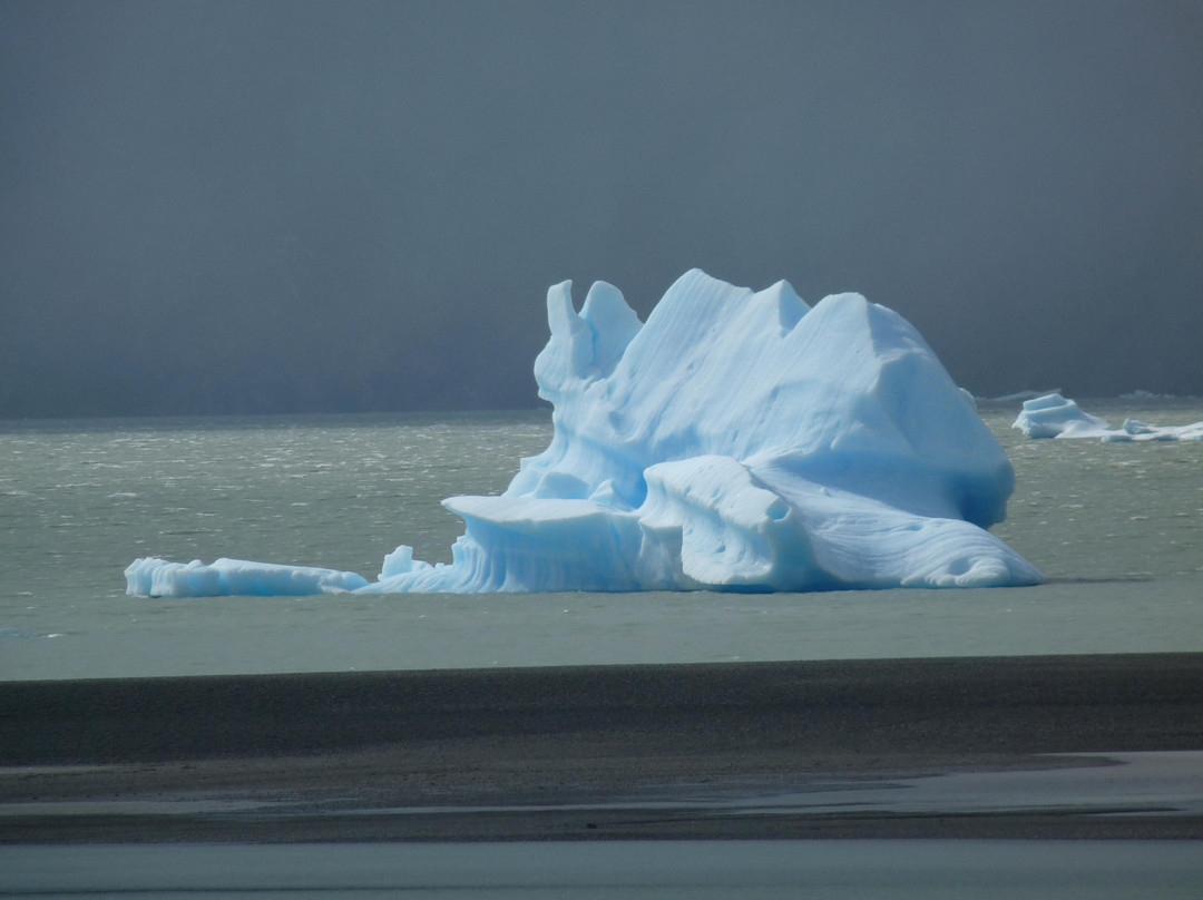 Glaciar Grey-纳塔莱斯港必去景点