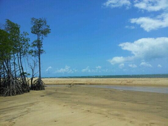 Yorkeys Knob Beach-Yorkeys Knob必去景点