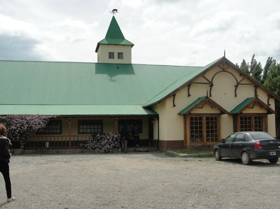 Ovejitas de la Patagonia