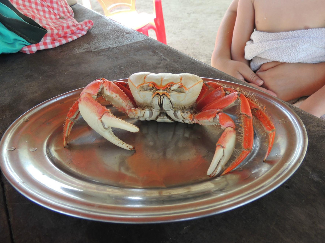 Refugio beach-阿拉卡茹必去景点