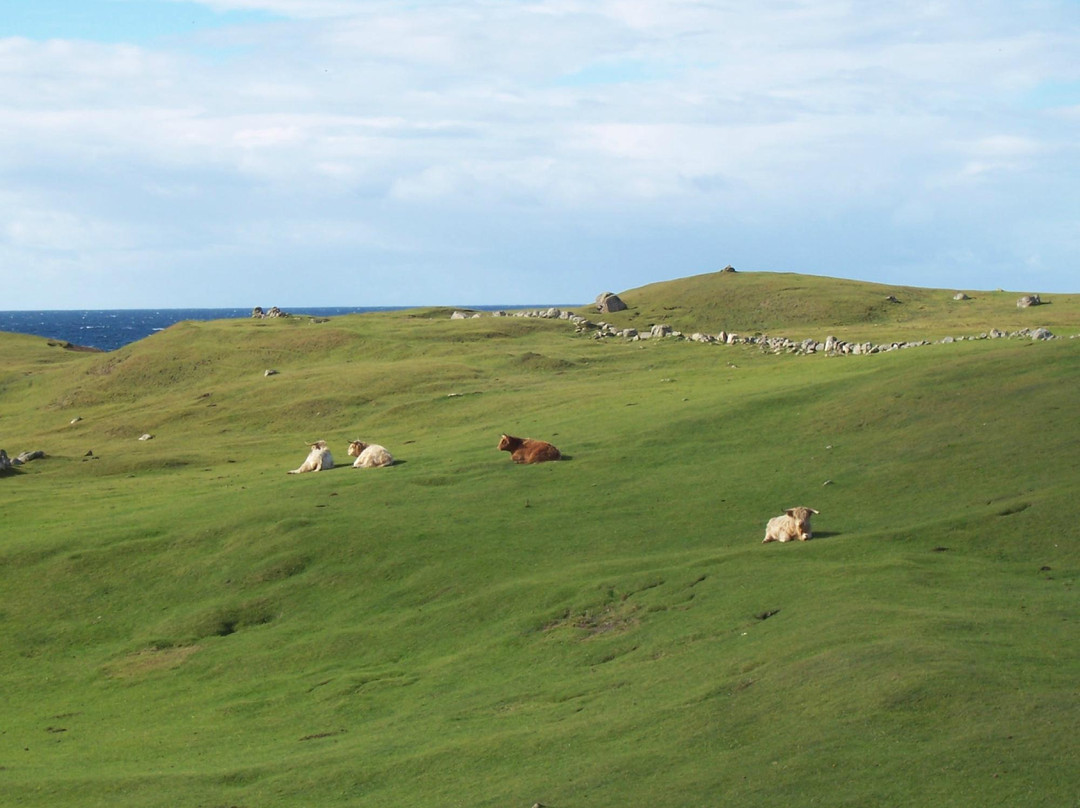 Split Rock Croft B&B主图