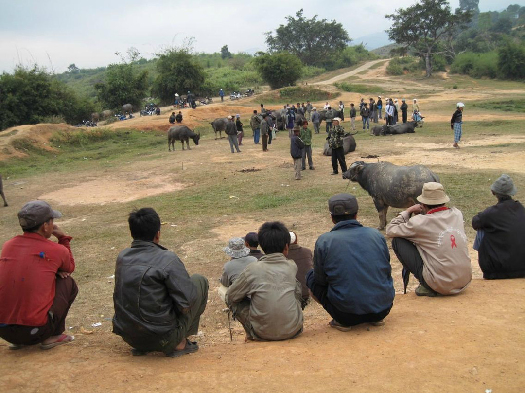 Water Buffalo Market-Kengtung必去景点
