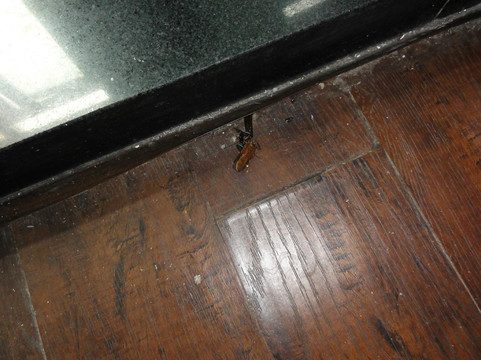 上海富驿时尚酒店南京东路店主图