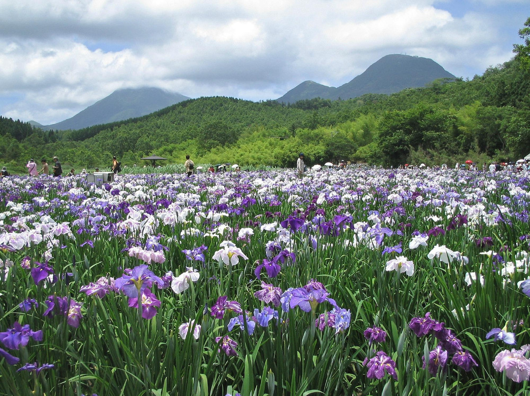 Kagurame Lake-别府市必去景点