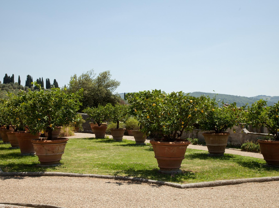 Giardini di Villa Gamberaia景点图片