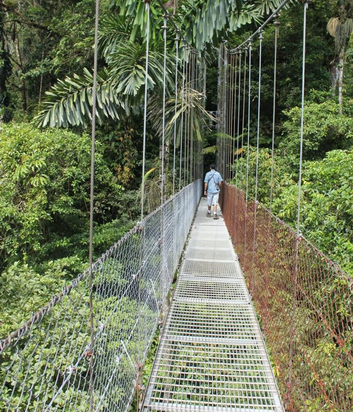Arenal Hanging Bridges景点图片