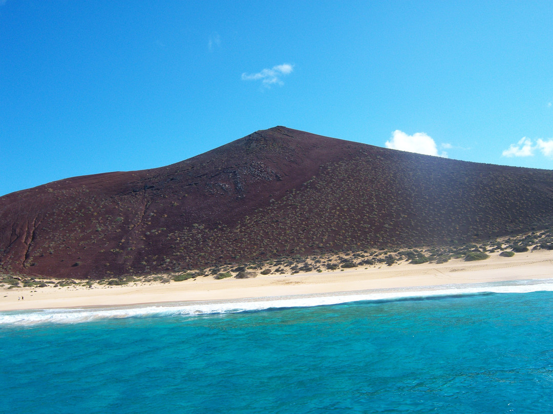 Isla de Lobos景点图片