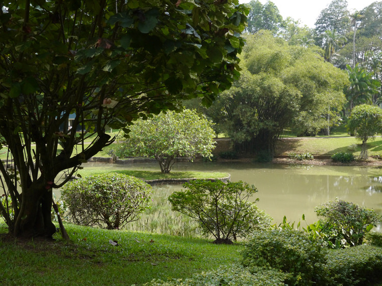 皇家植物园-佩拉德尼亚必去景点