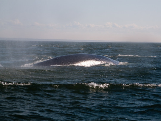 Otis Excursions-泰道沙克必去景点
