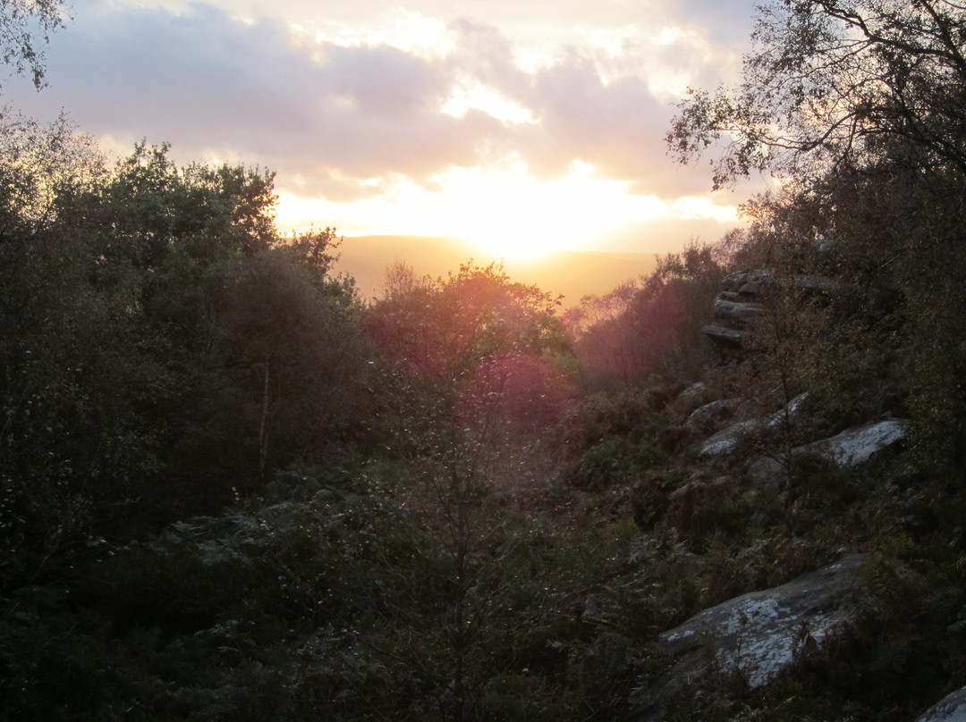 Brimham Rocks景点图片