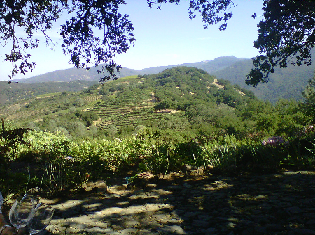 Kuleto Estate景点图片
