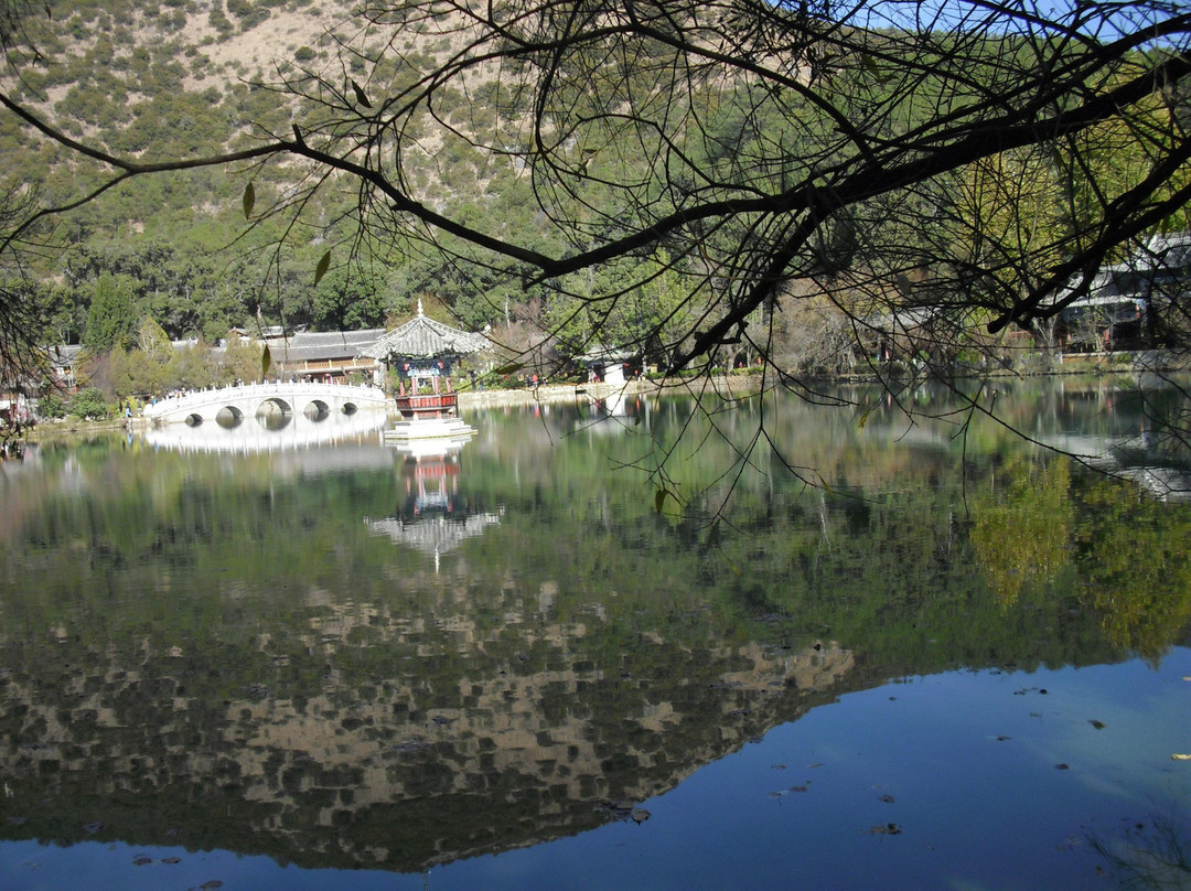 黑龙潭公园-丽江市必去景点