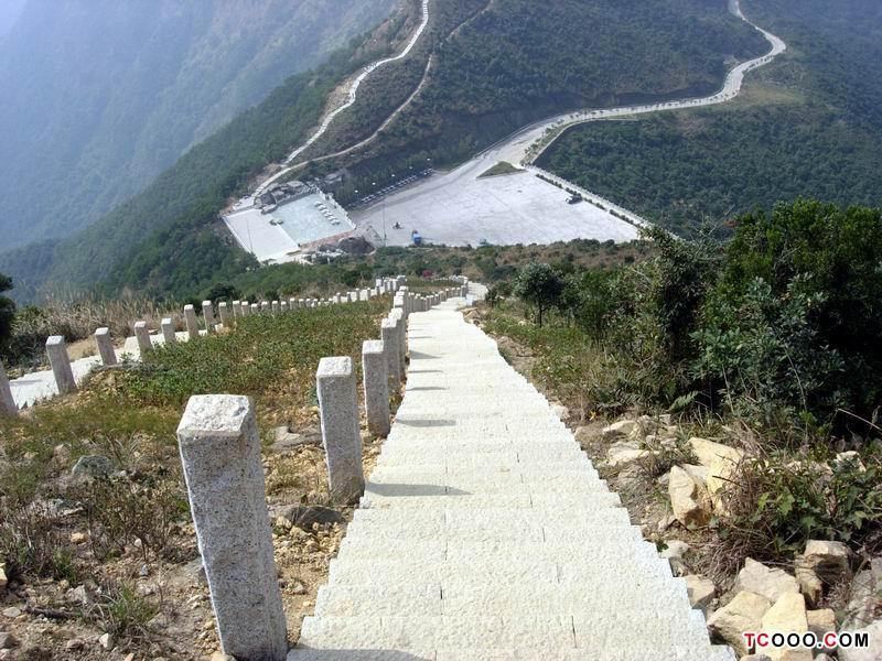梧桐山景点图片
