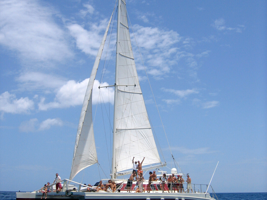 Marlin Del Rey Sailing Tours景点图片