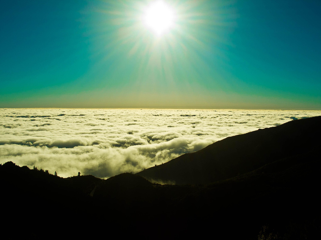 Madeira Adventure Kingdom-沙尔必去景点