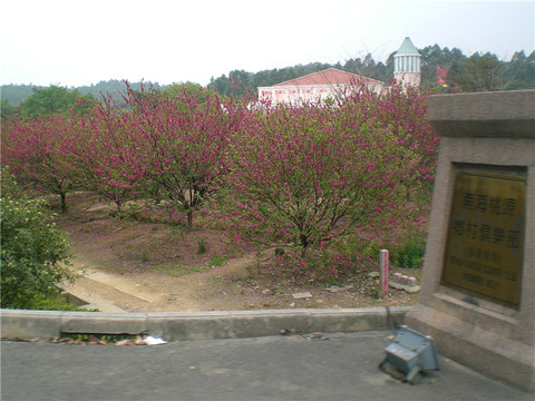 南海南国桃园-佛山市必去景点