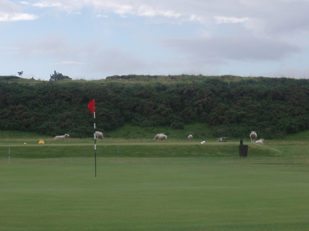 Brora Golf Course-Brora必去景点