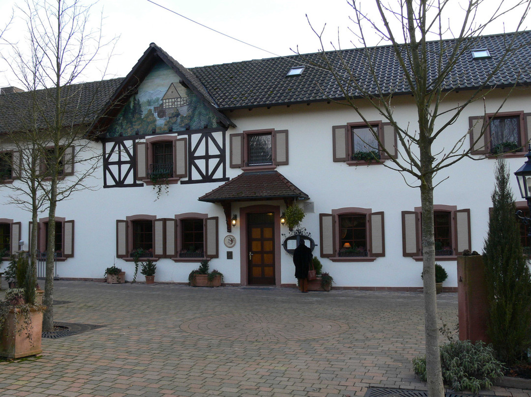 Salmbach餐馆和美食-Waldgasthof Bienwaldmuhle