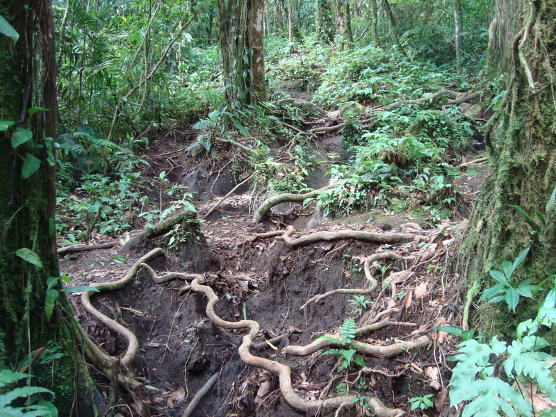 Cerro Chato (Chato Volcano)景点图片