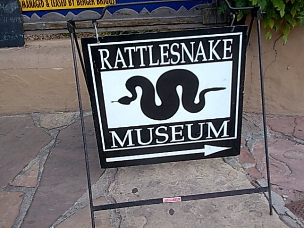 American International Rattlesnake Museum-阿尔伯克基必去景点