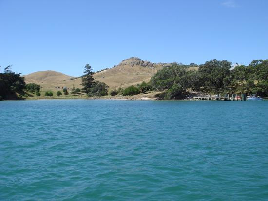 Mercury Bay-科罗曼德必去景点