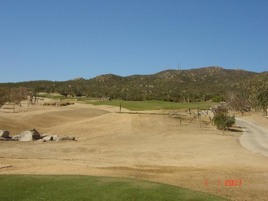 Desert Course at Cabo del Sol-洛斯卡布斯必去景点