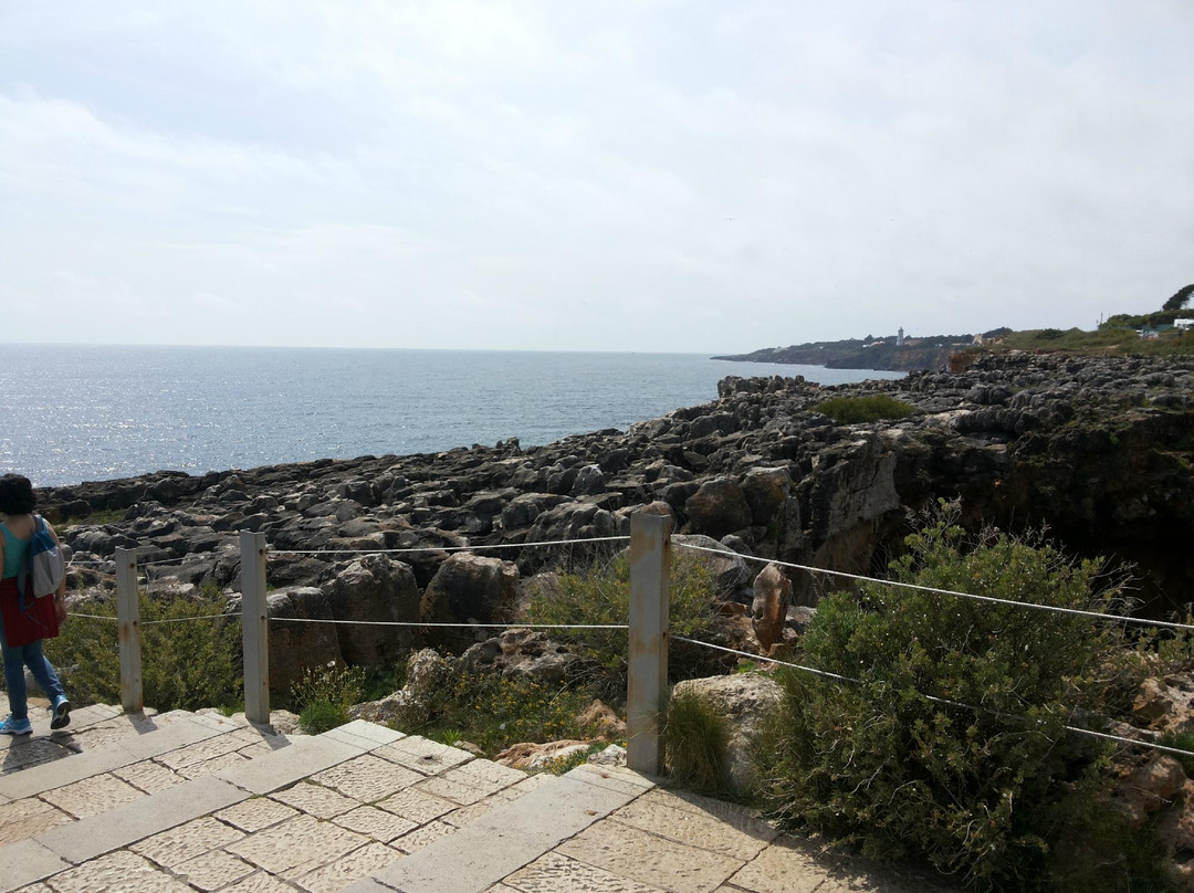 Alpha & Omega Portugal Tours-奥迪韦拉什必去景点