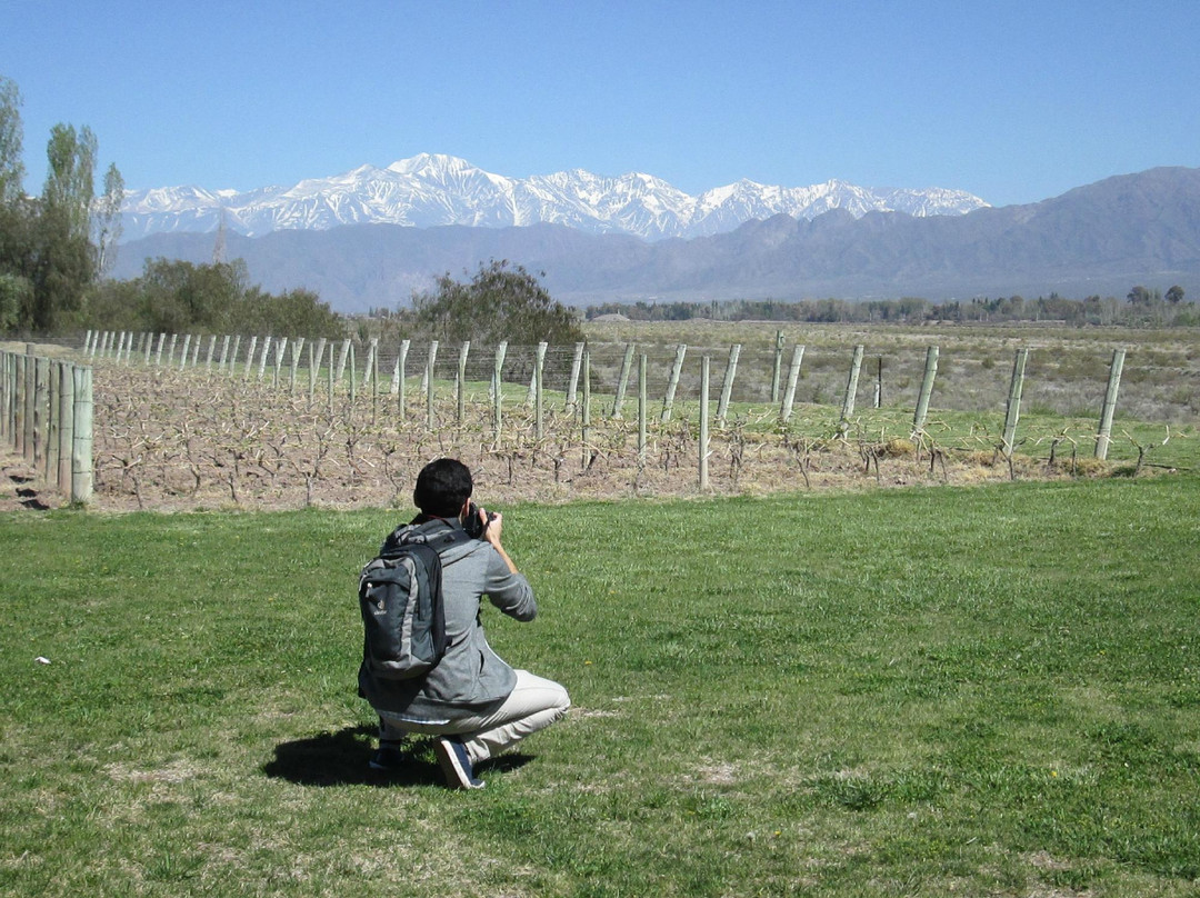 Vendimia Wine Tours-门多萨必去景点