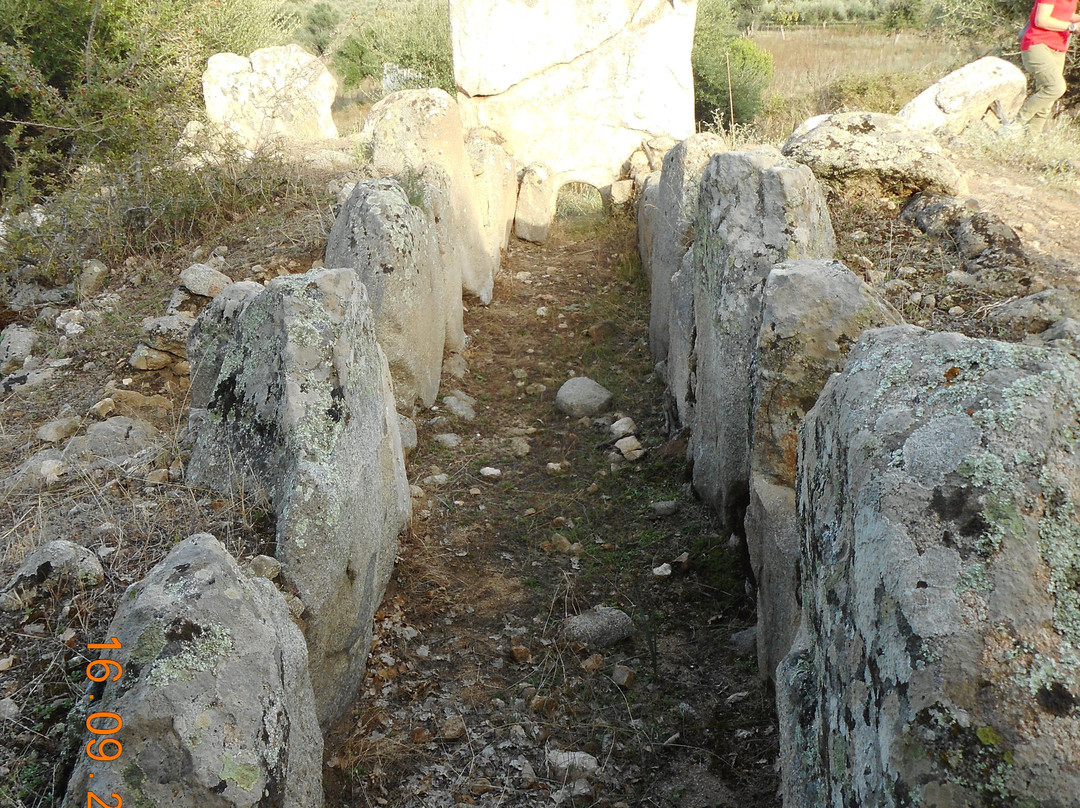 Tomba Dei Giganti Altare Di Logula