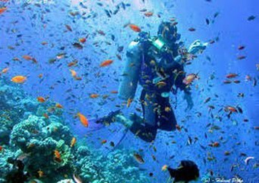 Mervin Safari Tours-蒙巴萨必去景点