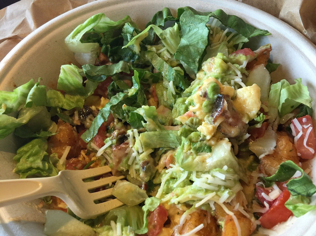 Qdoba Mexican Grill