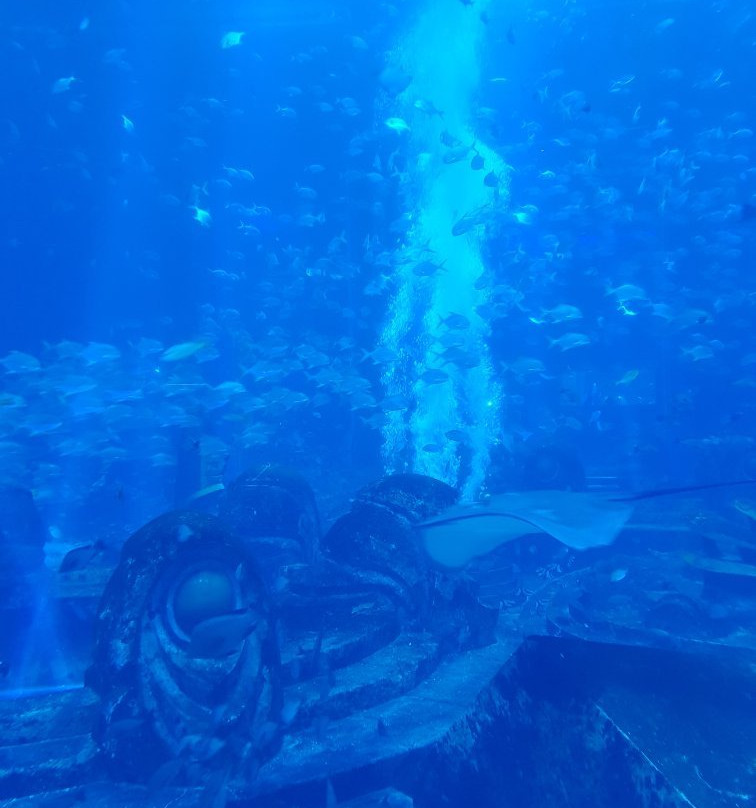 海南潜水-中潜景点图片