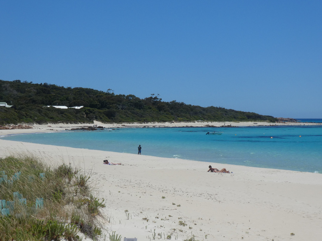 Eagle Bay Beach景点图片