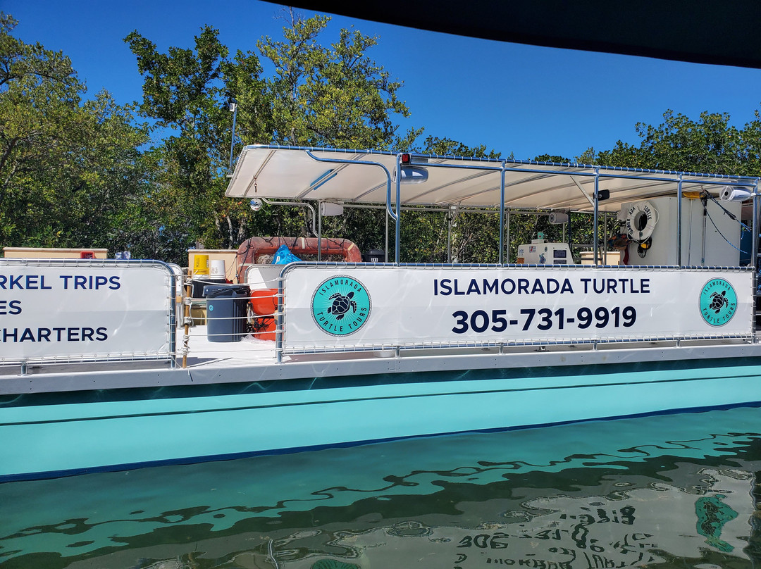 Islamorada Turtle Tours-伊斯拉摩拉达必去景点