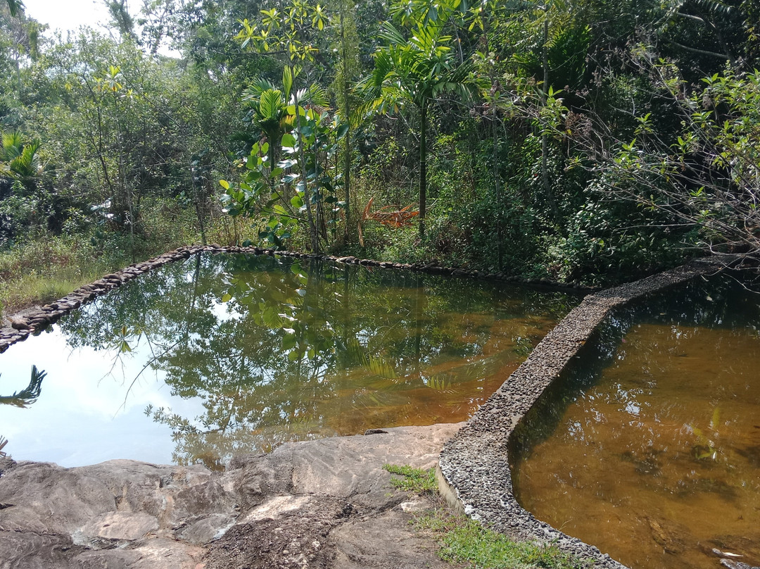 Nature Village