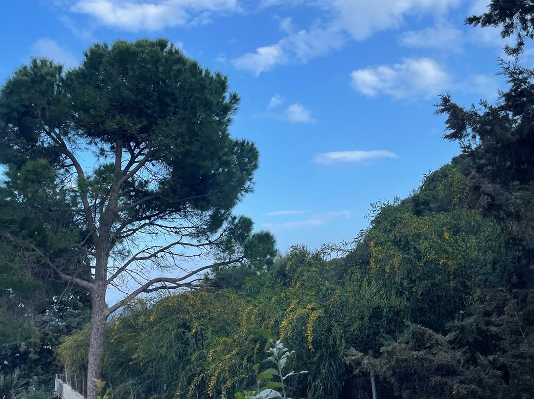 Ladikos Garden主图