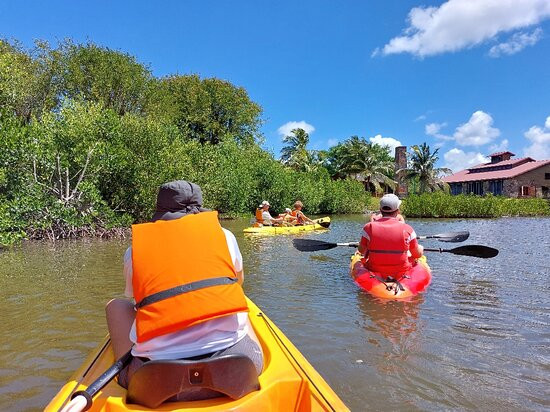 Kayak Aventure Mangrove-Ducos必去景点